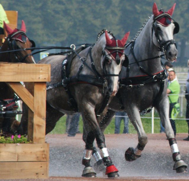 Jeux Équestres Mondiaux FEI AlltechTM 2014 en Normandie - Page 8 16.23