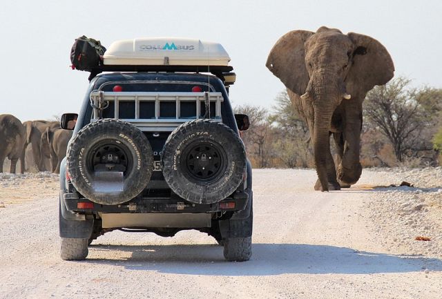 Namibie/Botswana/Zimbabwe 12.9