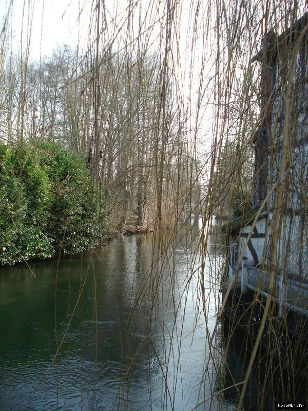 Vallée de l'Eure le 29.01.2012 13278713827