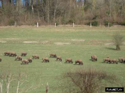 [26 février  2012] C.R la Côte d' Opale 3_133054352710