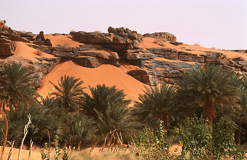 مناظر من بلادي(موريتانيا) 070