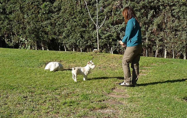 El Antes y el Después de un abandono. Año 2009 - Página 2 84548df4