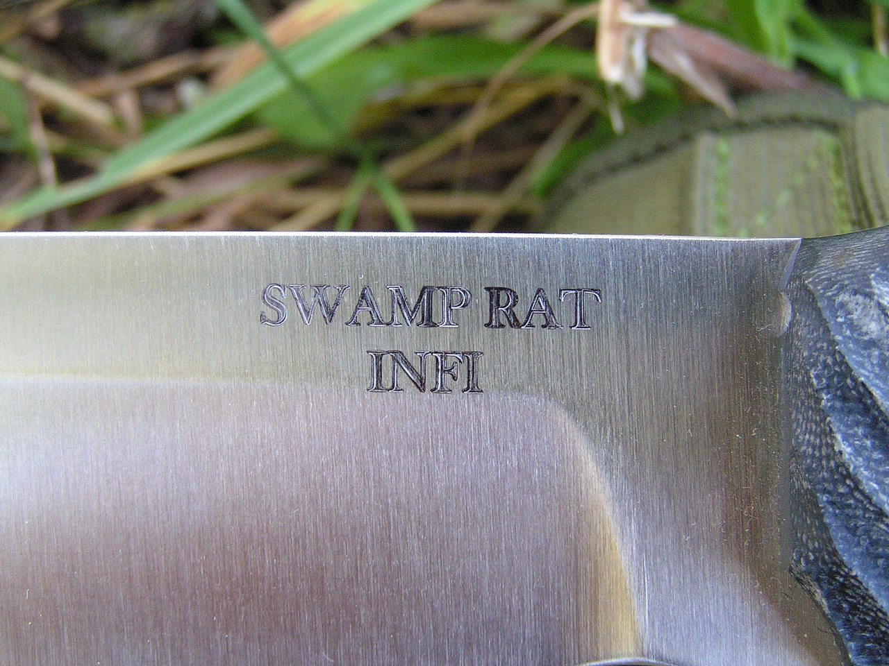 Swamp Rat INFIDU Busse Group 2B563322943055D223483555D21EA9