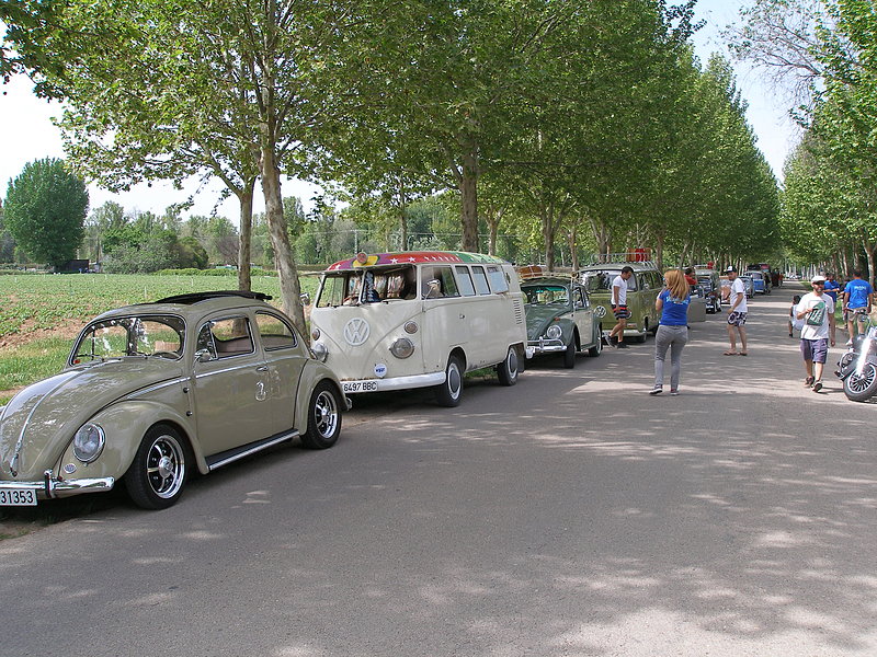 I VOLKSRIDERS CAMP MEET - Página 2 3108ce315a7ed48cf4346bea4d2fa4f1o