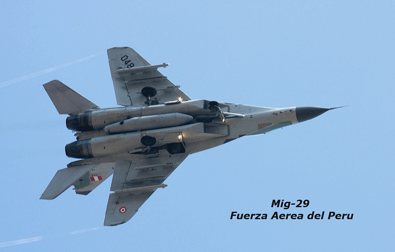 FULCRUM MIG-29 FAP: CAZADOR - Página 15 5312b286304aed398ad6eea1859ea198o