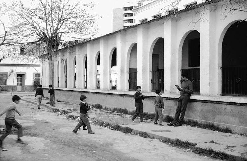 Comprobador de pilas - Tienda Terriza e Hijos