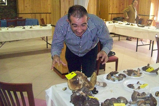 Jornadas Gastronómicas: "Setas y más...." A09504595f6bf3f127e5ee725fdc821bo