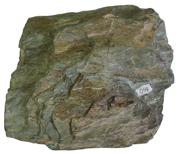 Roches & Pierres Chlorite_schist