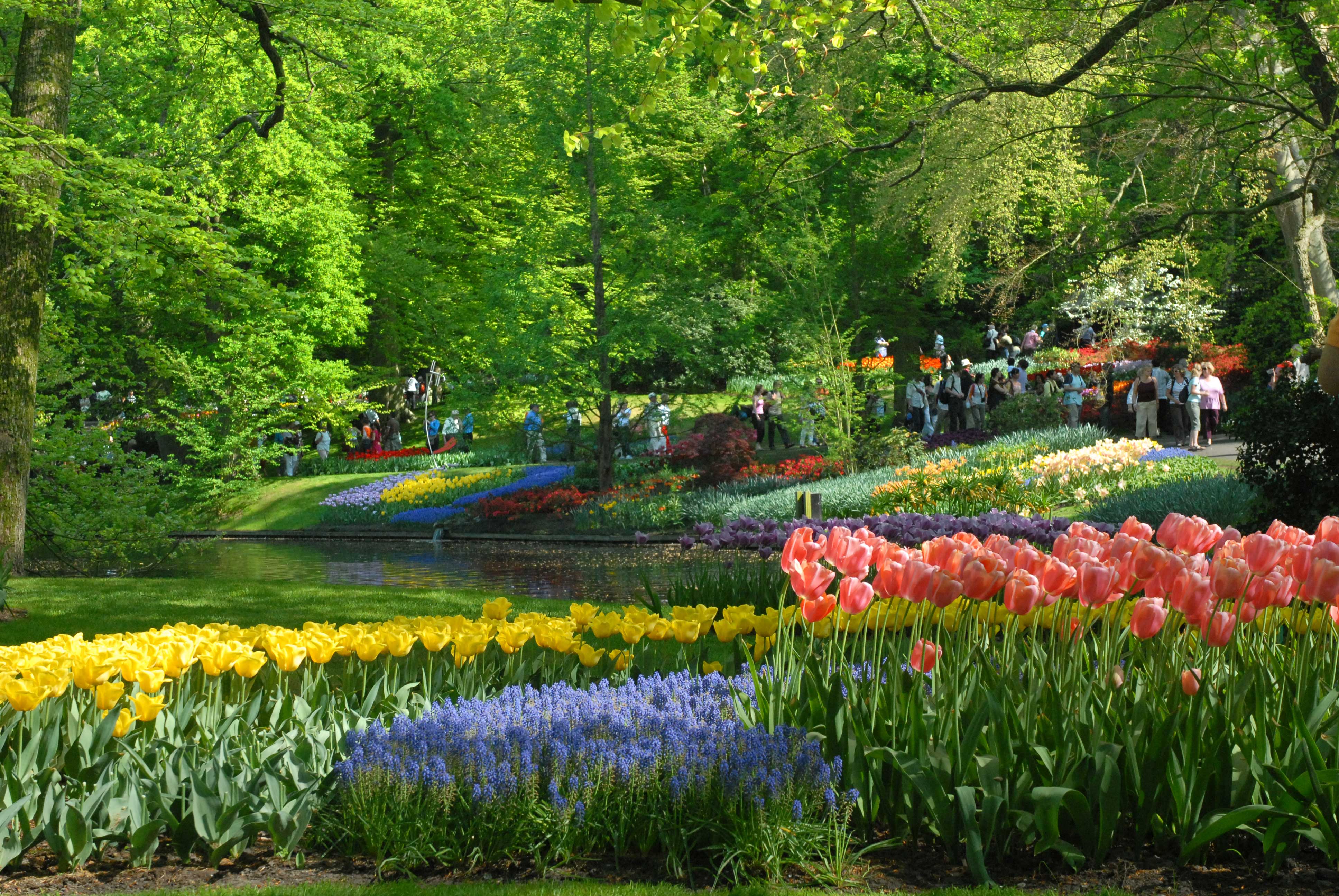 Ne pas craindre le vertige !!!  + autres articles différents???? Keukenhof-Szmurlo