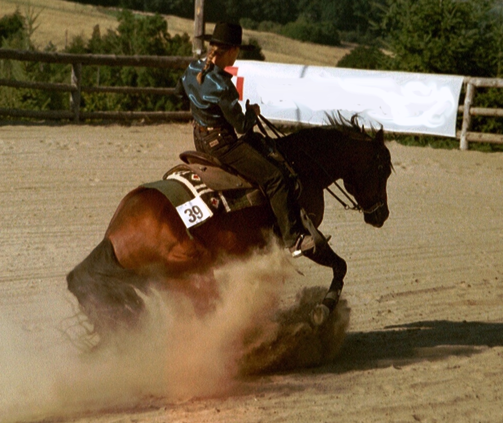 Le Lexique du Jardon Western Sliding_Stop_Flachsberg