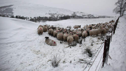 Cerca de ocho centímetros de nieve en Escocia Media_xll_4738078