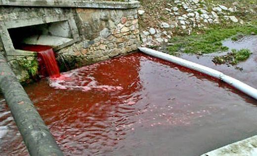 Du jour au lendemain une rivière devient rouge sang en Slovaquie Article_2517516_19CE247D000005