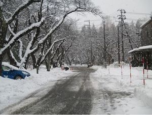 Forte tempête de neige au Japon : six morts Neige_japon_071214