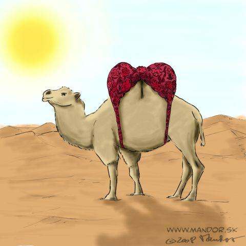 طالب فاشل ...... Camel_140705