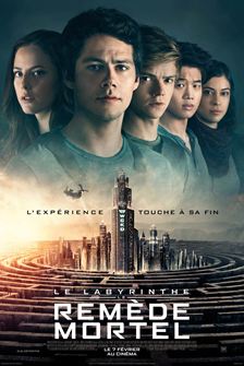 Le Labyrinthe : le remède mortel 2765615