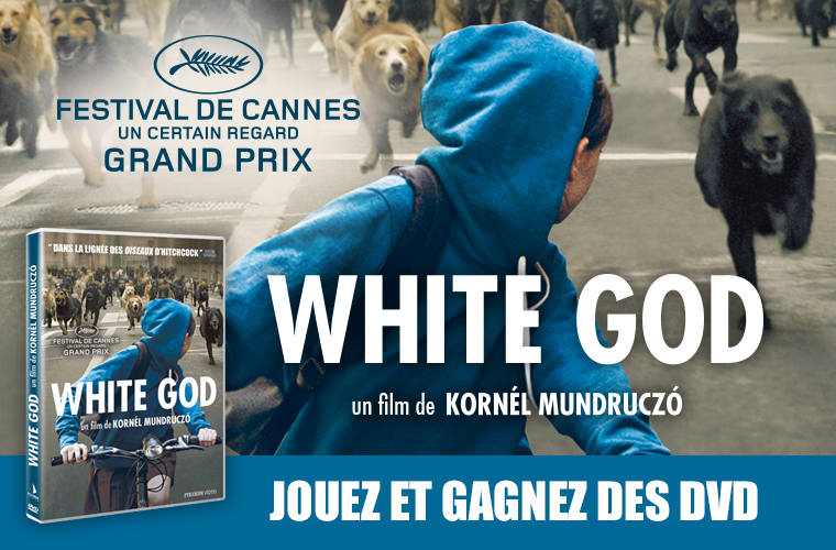 Gagnez des DVD White God  20150414114523