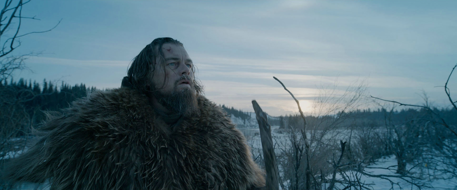 THE REVENANT (2016) 462808