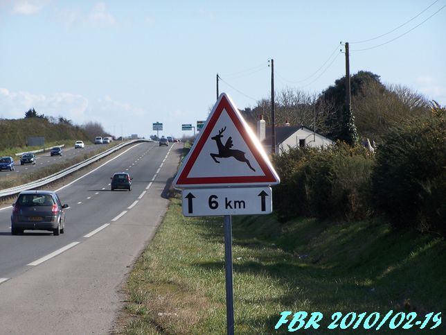 Sécurité Routière : nouvelle signalisation - Page 4 100_5869