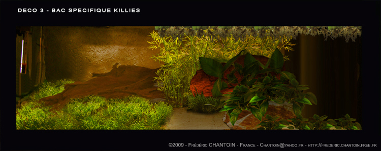 Mon futur aquarium spécifique killies Deco3_Bac_Killies