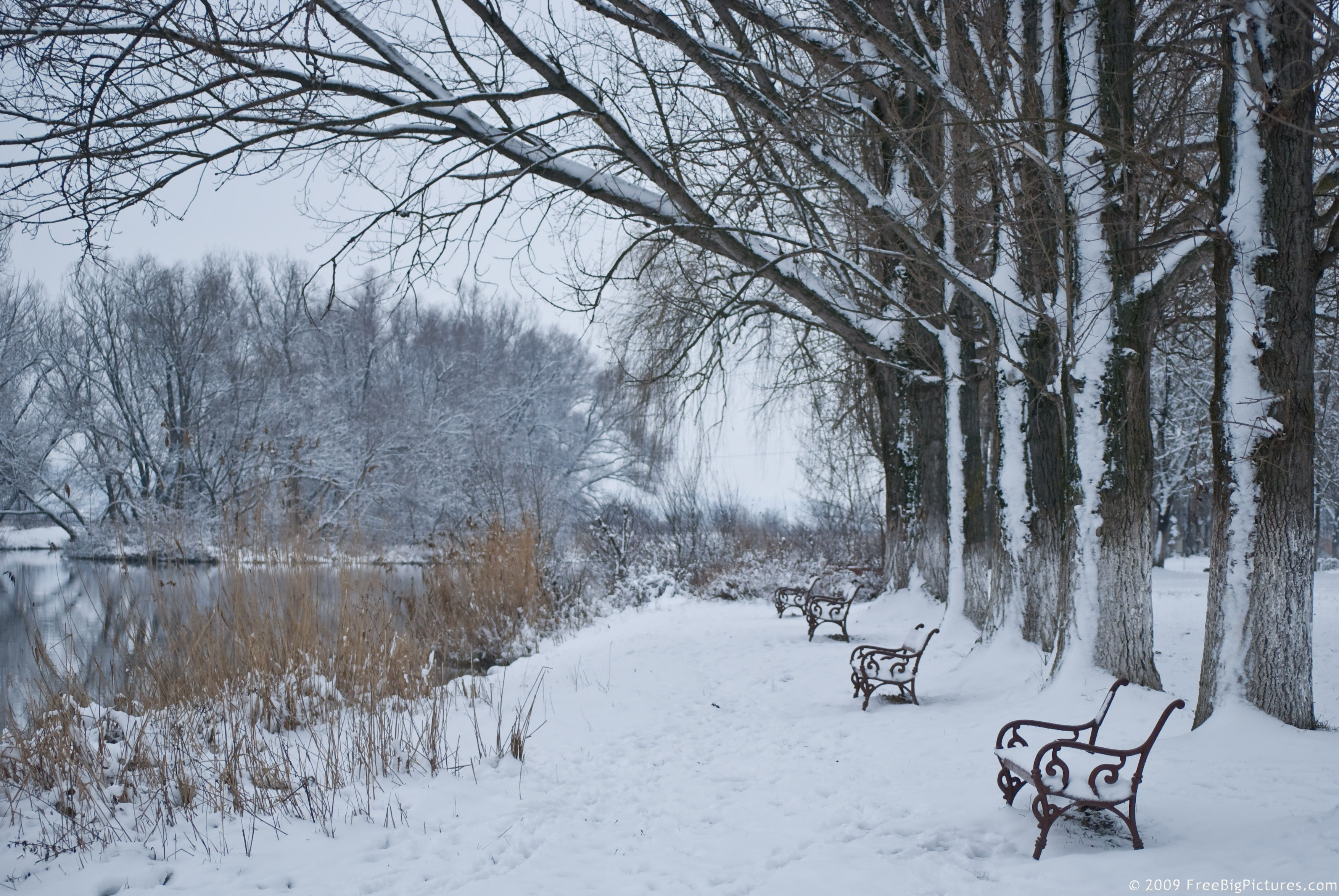 Ławki przy jeziorze Winter-scene