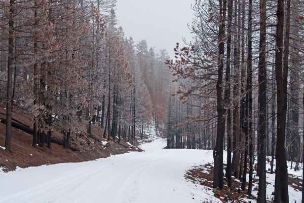 التوكل على الله Winter-background