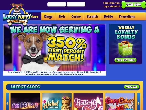 Lucky Puppy Bingo Free Spins No Deposit Lucky-Puppy-Bingo-Free-Spins-No-Deposit