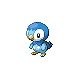 Piplup