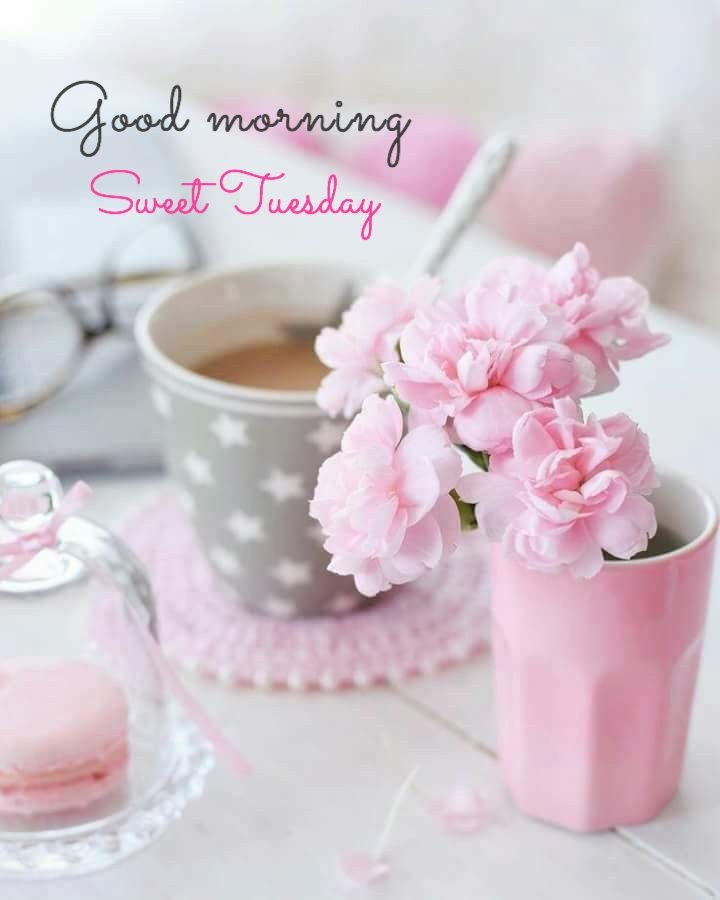 Good Morning - "Frenz 4 Ever" - Page 32 Beautiful-Good-Morning-Sweet-tuesday