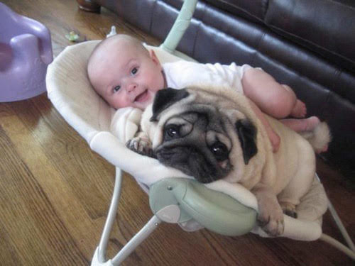 Cute Dog And Babies are BFFs Cute-Dogs-And-Babies-Bff-2