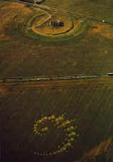 Crop circle Cropc1