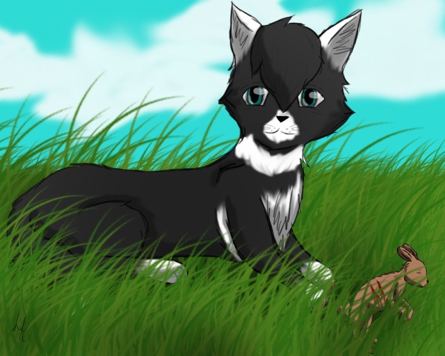 Jungensuche im Windclan F3zzclob