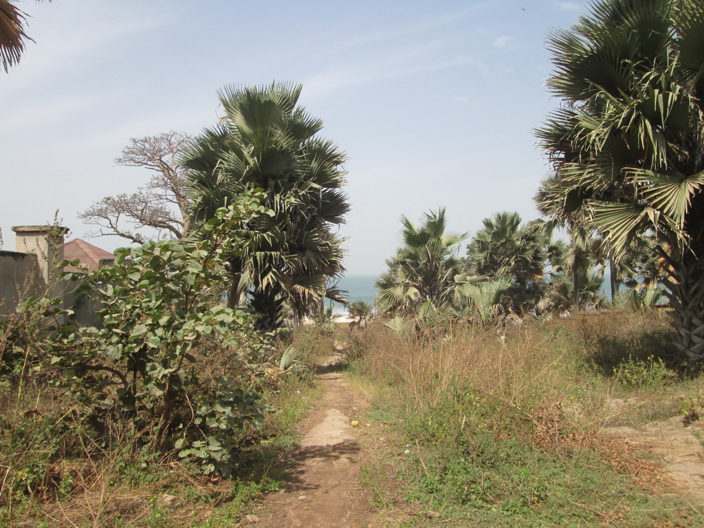 Urlaub Gambia 2016 45ixbhet