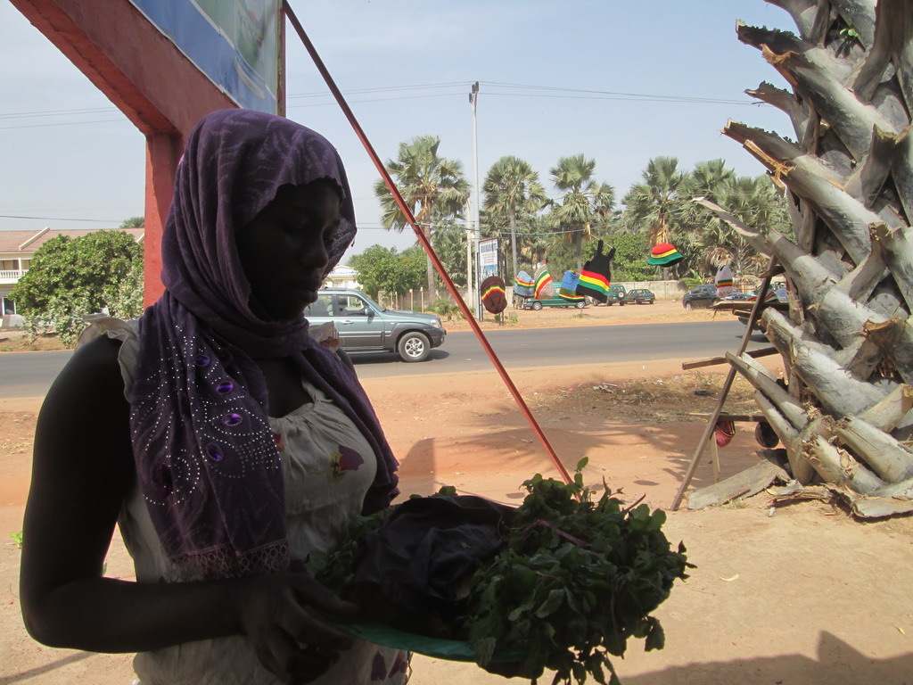 Urlaub Gambia 2016 L7biqqrl