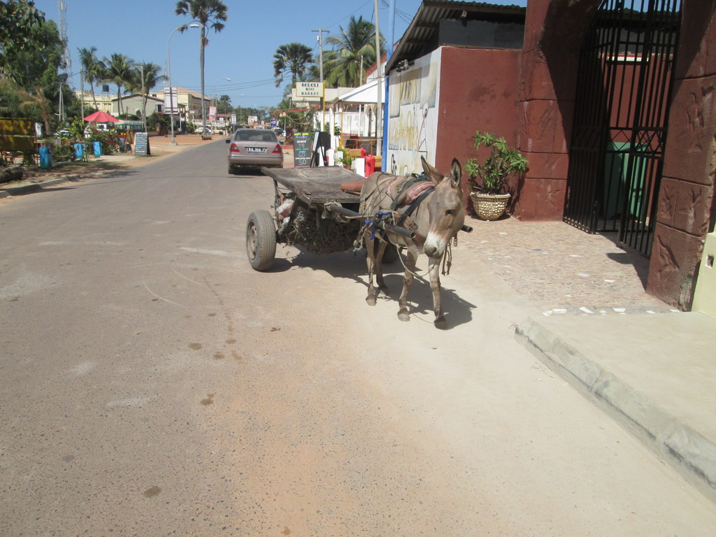 Urlaub Gambia 2016 - Seite 3 F6jre3kf