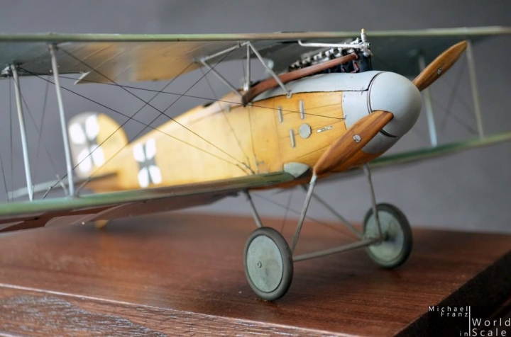 Albatros D.II "Boelcke" - 1/32 by Encore Models I5ht7vss