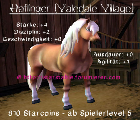 Haflinger Drzlpdgv