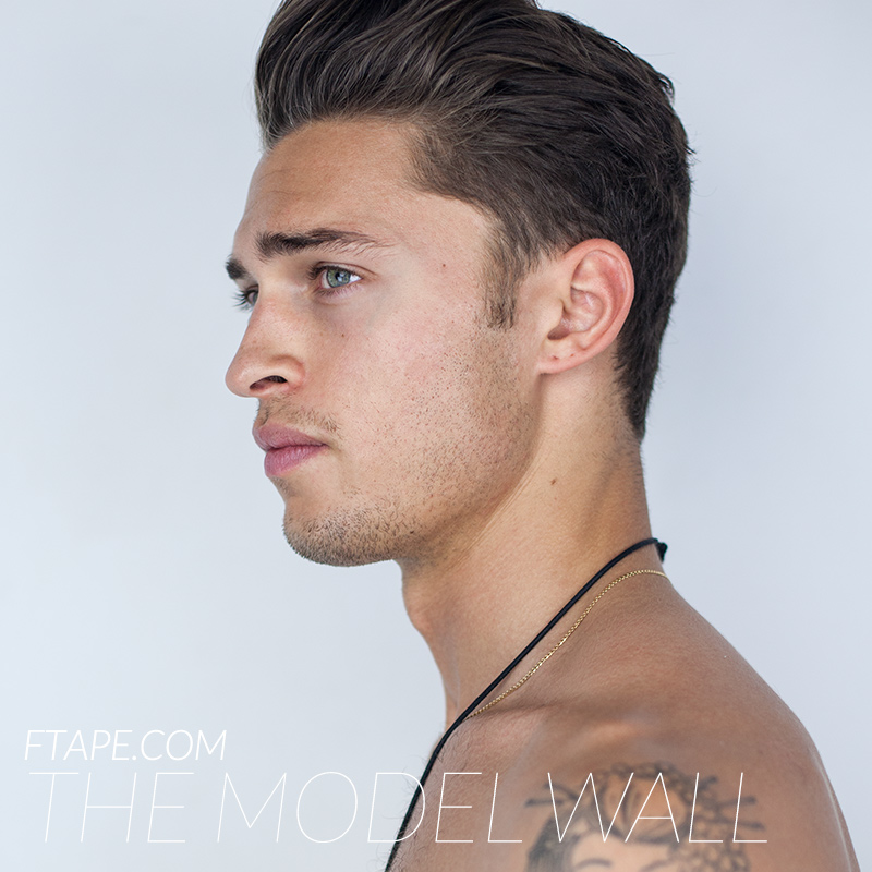 BENJI SKELTON ► Fiche de liens Harvey-Newton-Haydon-The-Model-Wall-FTAPE-02