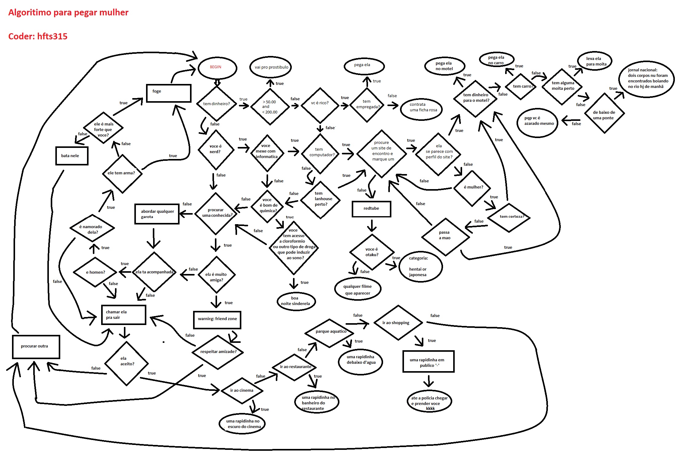 [fluxograma] algoritimo para pegar mulher Algo