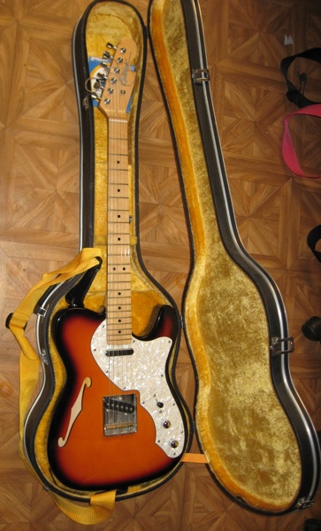 Fender Telecaster Addicts - Page 18 CaliberTeleThinline-7b