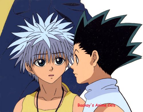 hunter x hunter Fiz2c62s