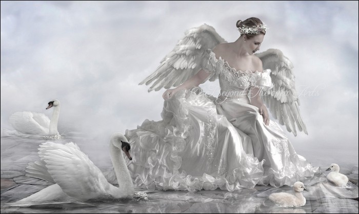 صور لأميرة البجعة , صور جديده لأميرة البجعة , صور لأميرة البجعة2012 Swanprincess01