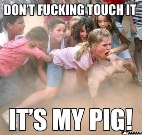 Funny pics! - Page 12 Funny-picture-my-pig