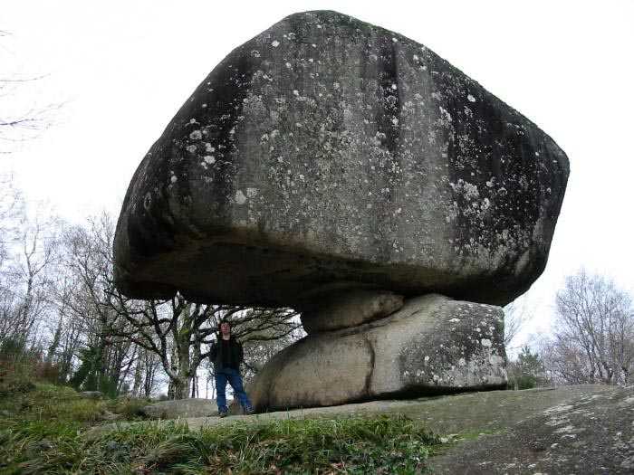 Les curiosits de la nature Under%20the%20stone