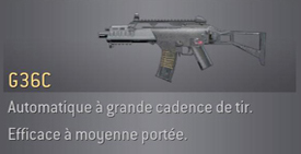 arme du jeux G36C