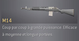 arme du jeux M14