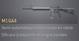 arme du jeux M16A4