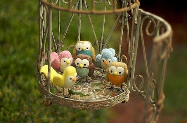 Cute Birdsهدية لإسراء بمناسبة تفوقها 229458