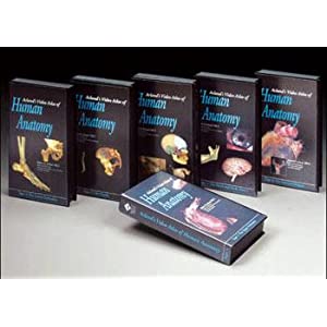 Acland's Video Atlas of Human Anatomy ( 6 Complete DvdSet ) Fd8281b0c8a09967243f9110.L._SL500_AA300_