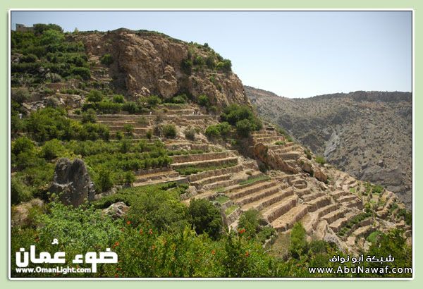 الصور تتكلم، الجبل الاخضر - سلطنة عمان 9__copy