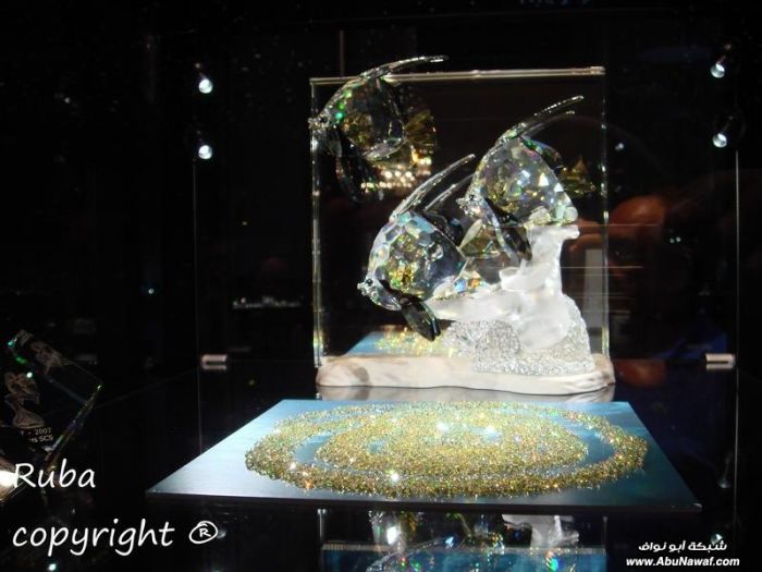 صور : من رحلتي الى متحف swarovski - النمسا‎ ByuskHEBveupsJja